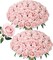 50 PCS Artificial Roses with Stems – Realistic Blush Silk Flowers for DIY Wedding Bouquets, Centerpieces, Baby Shower, Birthday & Home Decor